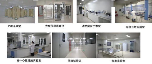 创新引领 企业院士工作站关键技术攻关项目立项数全市第一 医药科技领域持续发力