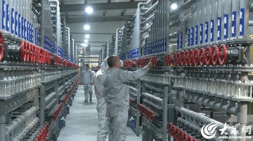 绿色发展看济宁丨借力当代科技 药食同源 为曲阜医养健康产业集群发展注入新的活力